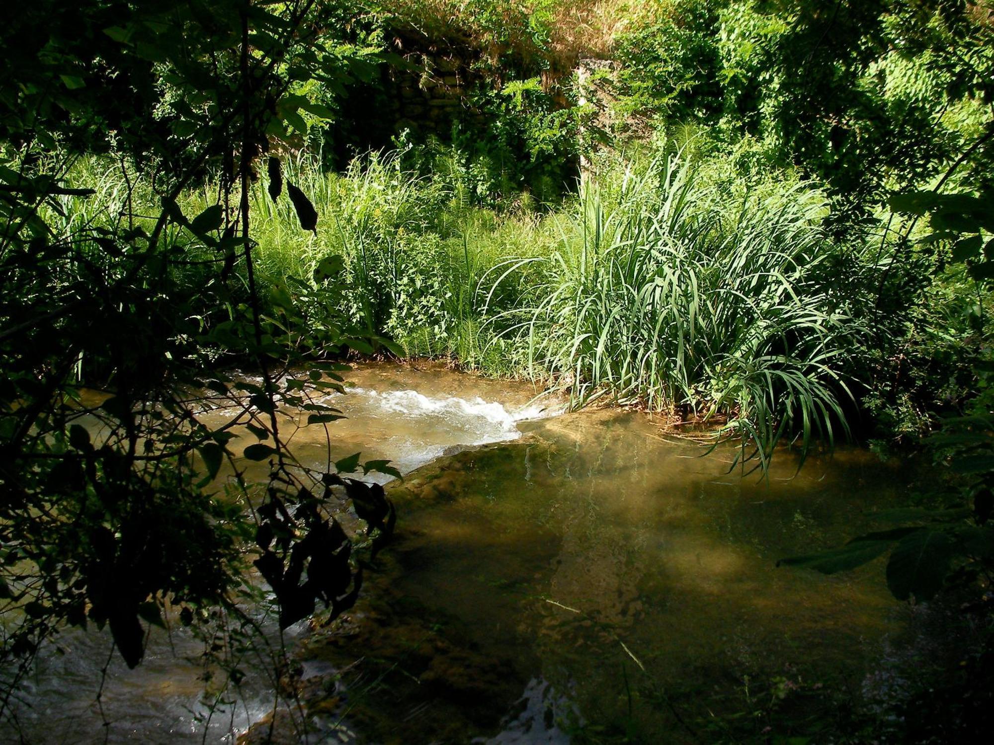 Le Vieux Moulin De Bed & Breakfast